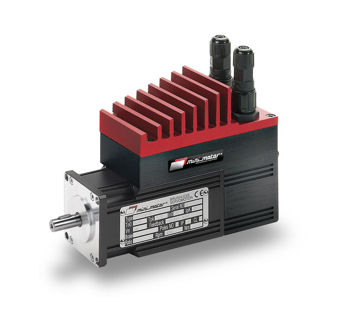 DBS Mini-Motor